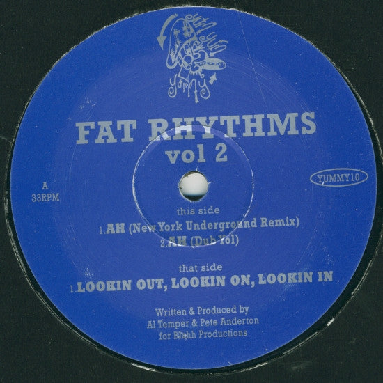 Al Temper & Pete Anderton : Fat Rhythms Vol 2 (12")