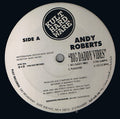 Andy Roberts : Big Daddy Vibes (12")