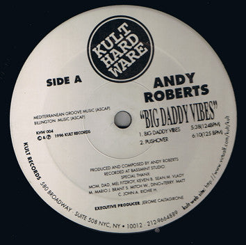 Andy Roberts : Big Daddy Vibes (12")