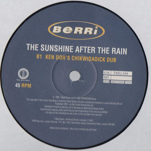 BERRi : The Sunshine After The Rain (2x12", Promo)