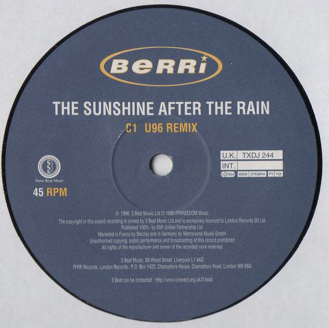 BERRi : The Sunshine After The Rain (2x12", Promo)