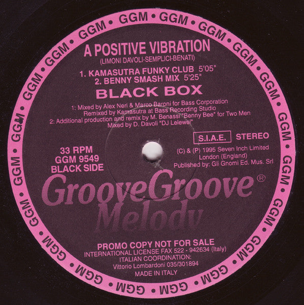 Black Box : A Positive Vibration (Part II) (12", Promo)