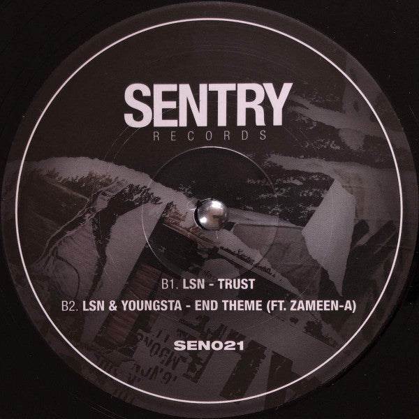 LSN (2) : Misuse Of Power (12")
