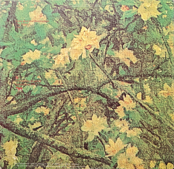 Echo & The Bunnymen : The Back Of Love (12", Single)