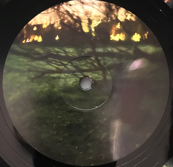 Fred again.. & Brian Eno : Secret Life (LP, Album)