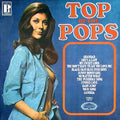 Unknown Artist : Top Of The Pops Vol. 15 (LP, Album)