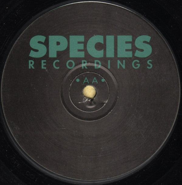 DJ Surreal & Flip (11) : How Does It Feel / I.D. (12")