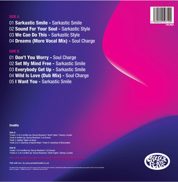 Danny Rowland : Danny Rowland & Friends - From Beavers To Bora Bora It's A House Thing (12", Comp)