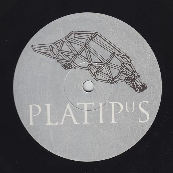 Chromium : Chrome (12")