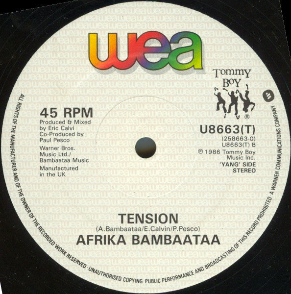 Afrika Bambaataa & Family : Bambaataa's Theme (12")