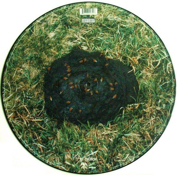 OutKast : Roses (12", Single, Pic)