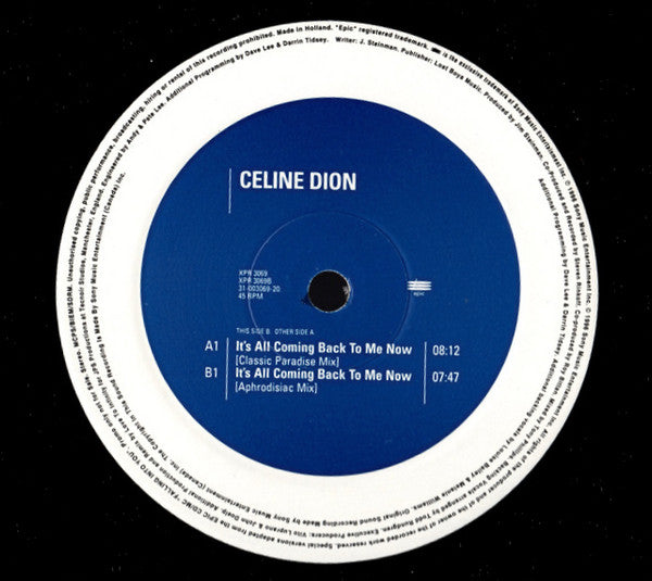 Céline Dion : It's All Coming Back To Me Now (12", Promo)