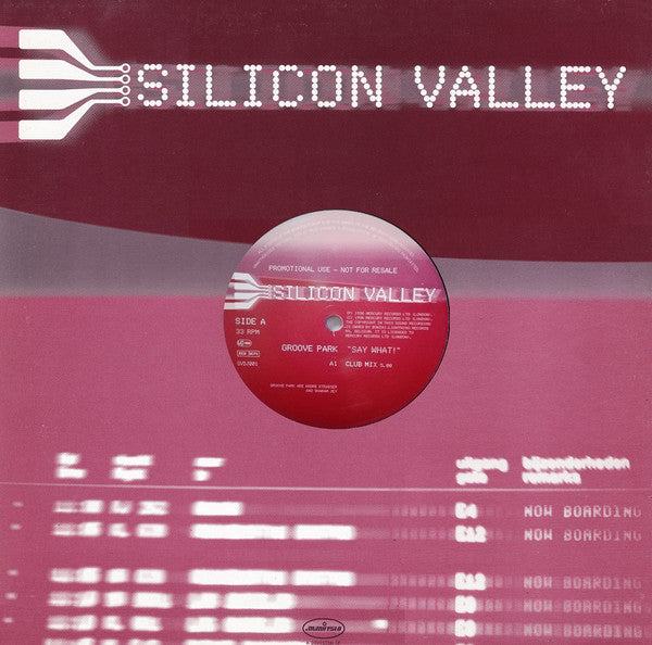Groove Park : Say What! (12", Promo)