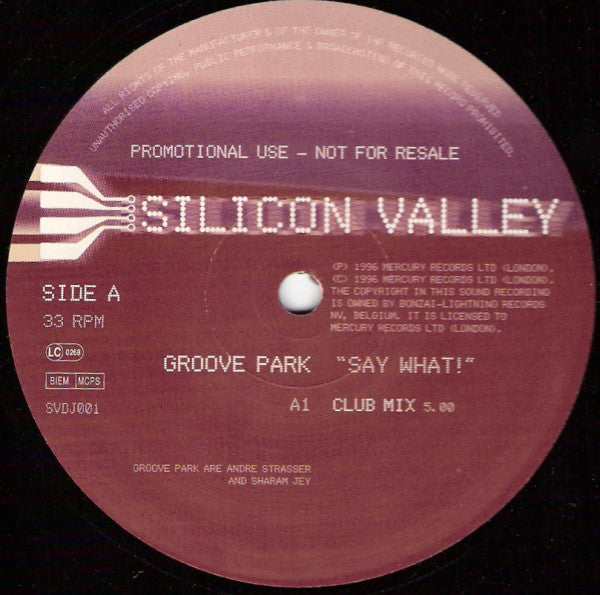 Groove Park : Say What! (12", Promo)