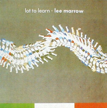 Lee Marrow : Lot To Learn (12")