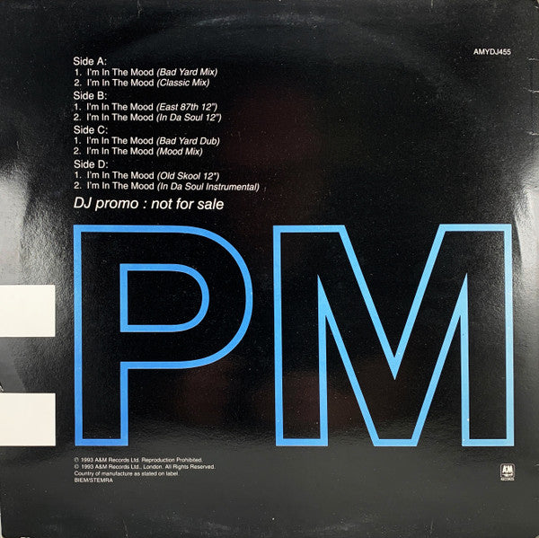 Ce Ce Peniston : I'm In The Mood (Steve 'Silk' Hurley & David Morales Remixes) (2x12", Promo)