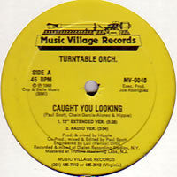 Turntable Orchestra : Caught You Looking (12")