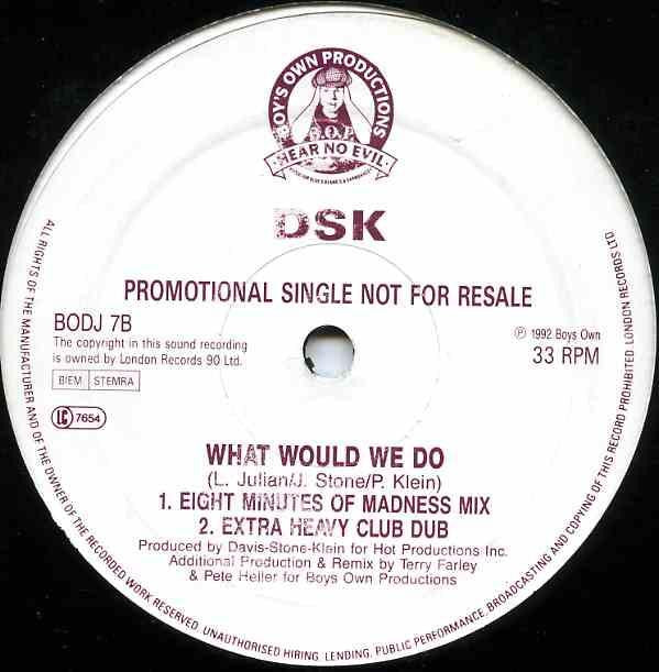 DSK : What Would We Do (12", Single, Promo)