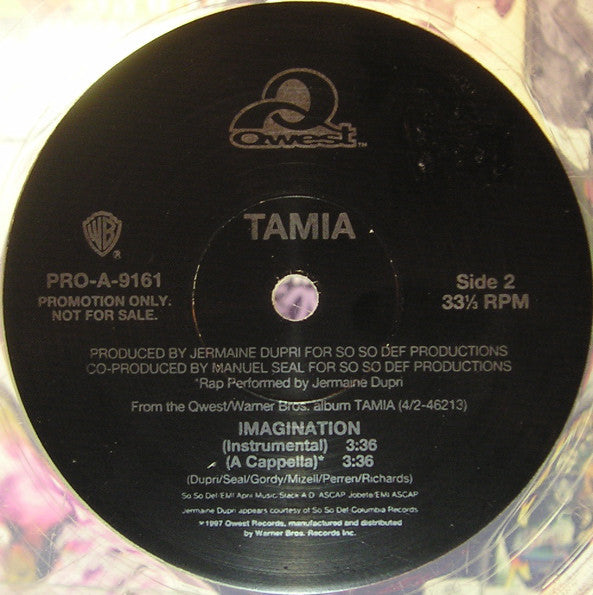 Tamia : Imagination (12", Single, Promo, Cle)
