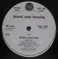 The Brand New Heavies : Dream Come True (12", Promo)