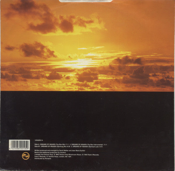 Ground Level : Dreams Of Heaven (Intuition Remixes) (12")