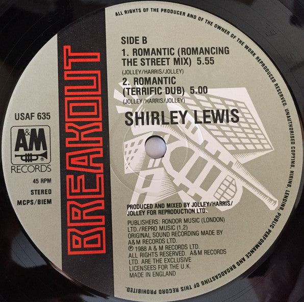 Shirley Lewis : You Used To Be Romantic (The Hot & Bothered Remix) (12")