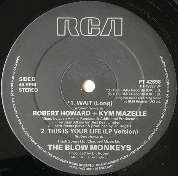 The Blow Monkeys : This Is Your Life (N-Ten City Remix) (12")