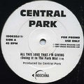 Central Park (2) : All This Love That I'm Giving (12", Promo)