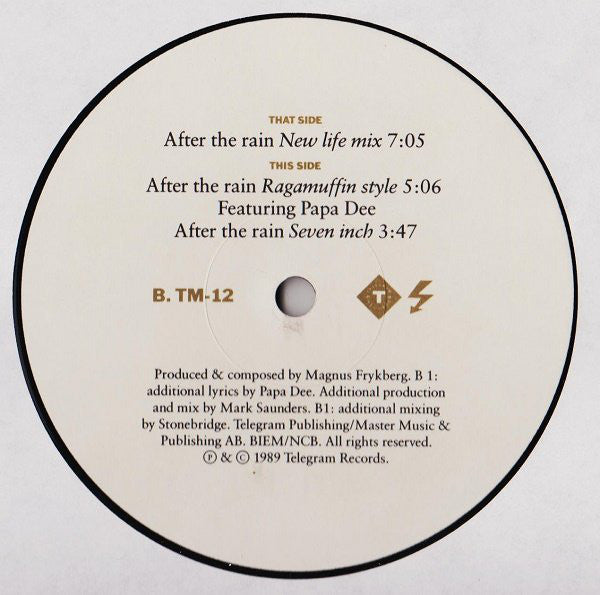 Titiyo : After The Rain (New Life Mix) (12")