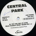 Central Park (2) : All This Love That I'm Giving (12", Promo)