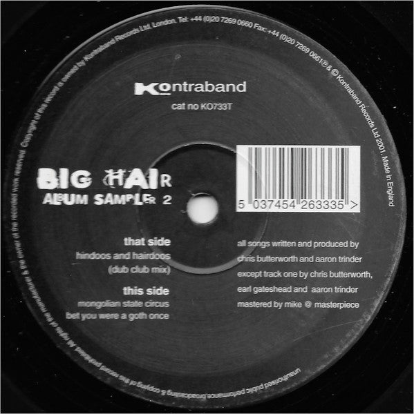 Big Hair : Album Sampler 2 (12", Smplr)