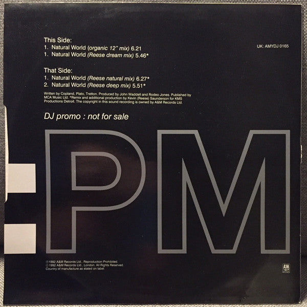 Rodeo Jones : Natural World (12", Promo)