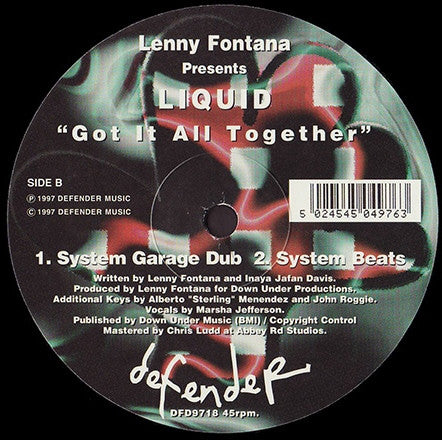 Lenny Fontana Presents Liquid (5) : Got It All Together (12")