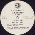 Déja Vu* : Why Why Why (12", Promo)