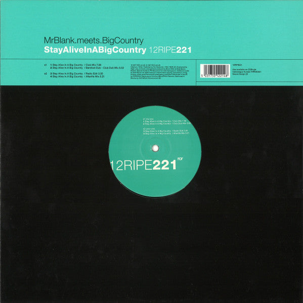 Mr. Blank Meets Big Country : Stay Alive In A Big Country (12")