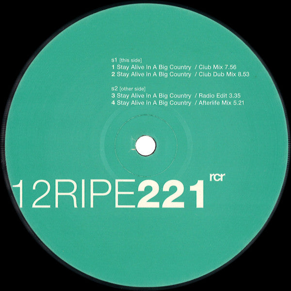 Mr. Blank Meets Big Country : Stay Alive In A Big Country (12")