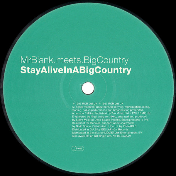 Mr. Blank Meets Big Country : Stay Alive In A Big Country (12")
