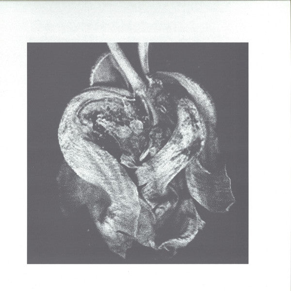 Hazylujah : How Can You Hide From What Never Goes Away? (12")