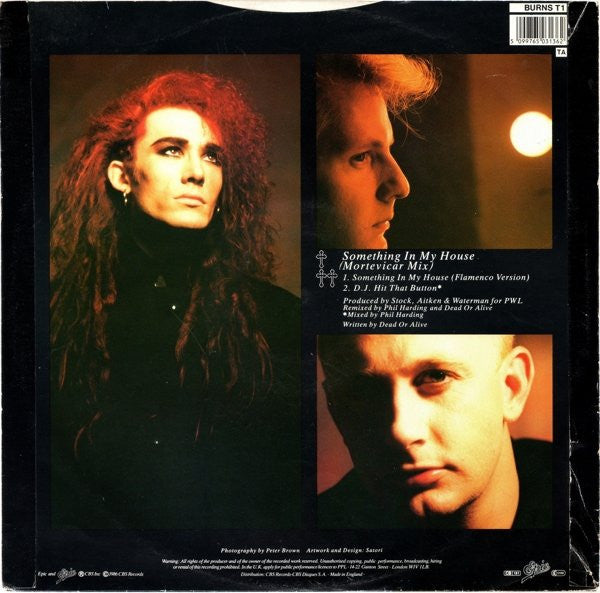 Dead Or Alive : Something In My House (Mortevicar Mix) (12", Single)