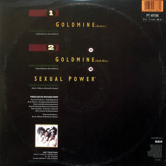 Pointer Sisters : Goldmine (12", Single)