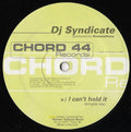 The DJ Syndicate Produced By Romanthony : I Can't Hold It (12")