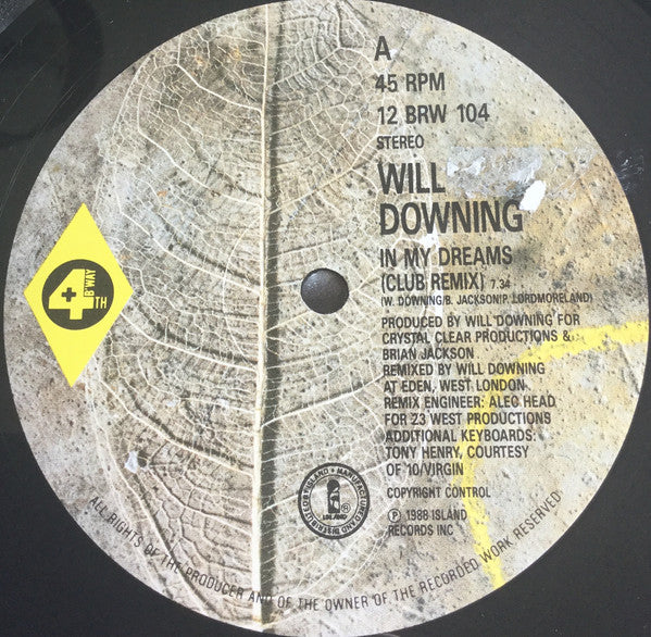 Will Downing : In My Dreams (12", Single)