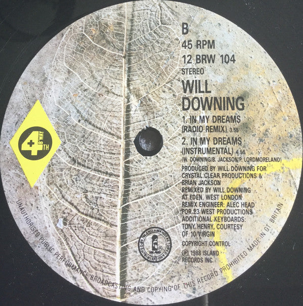 Will Downing : In My Dreams (12", Single)