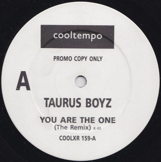 Taurus Boyz : You Are The One (The Remix) (12", Promo)