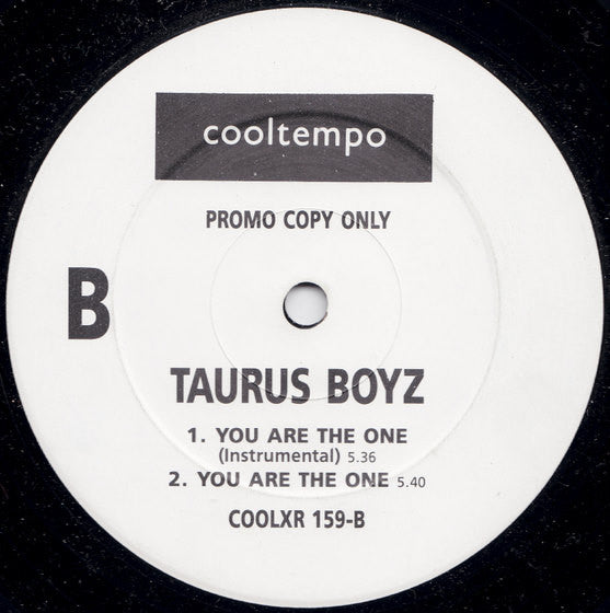 Taurus Boyz : You Are The One (The Remix) (12", Promo)