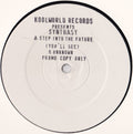 Synthasy : Step Into The Future (You'll See) (12", Promo, W/Lbl)