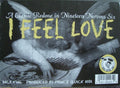 Inca King : I Feel Love (12")