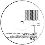 Tony Touch Featuring Total : I Wonder Why? He's The Greatest DJ - The Remixes (12")