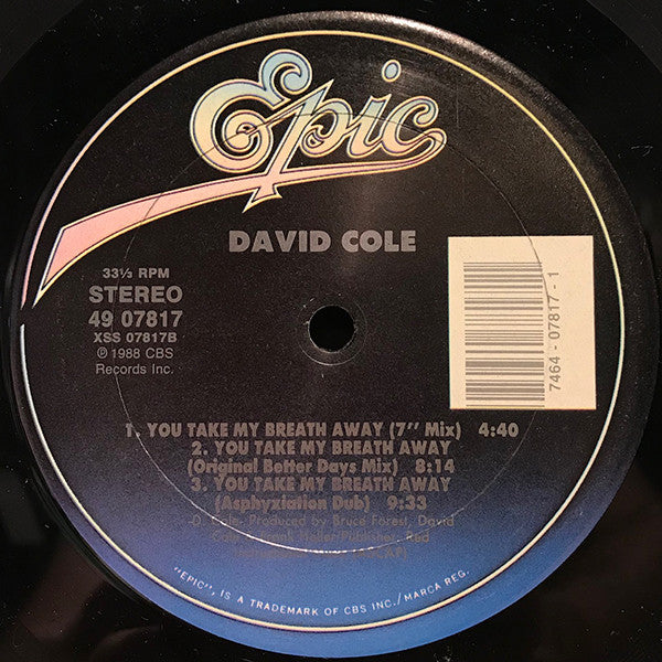 David Cole : You Take My Breath Away (12")