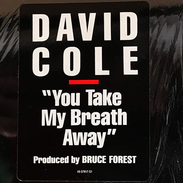 David Cole : You Take My Breath Away (12")